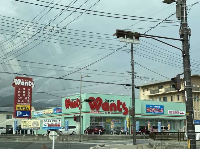 ドラックストア　Wants（ドラッグストア）まで1830m