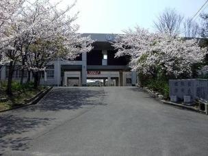 中学校　桜台中学校（中学校）まで505m