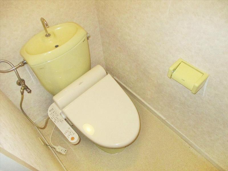 トイレ　デュエットかもしか