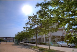 小学校　倉敷市立万寿東小学校（小学校）まで737m