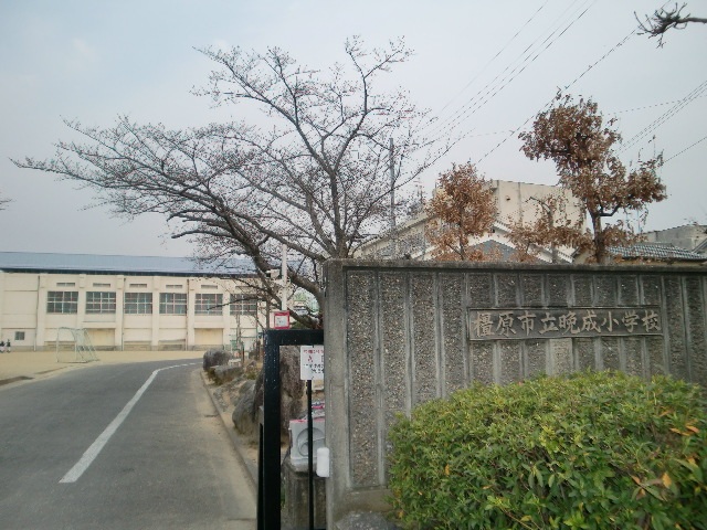 小学校　晩成小学校（小学校）まで755m