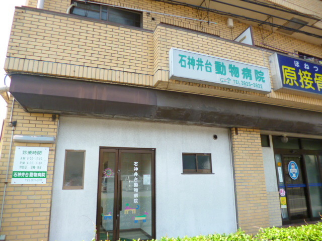 病院　石神井台動物病院（病院）まで185m