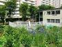 幼稚園・保育園　新宿区立戸山第二保育園（幼稚園・保育園）まで349m