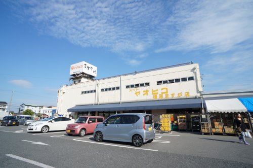 スーパー　スーパーヤオヒコ 真菅店（スーパー）まで556m