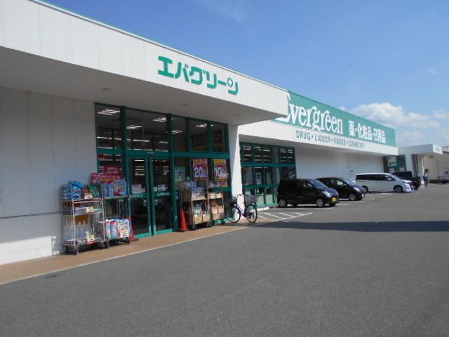 ドラックストア　エバグリーン有田店様（ドラッグストア）まで220m