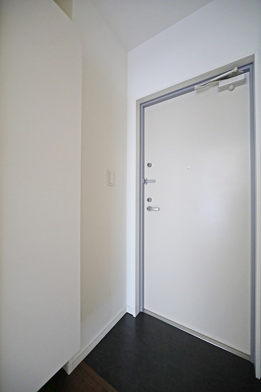 玄関　玄関　シューズボックス