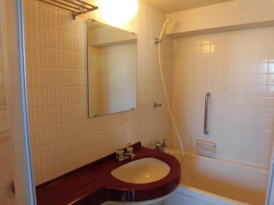 洗面設備　※別号室の写真です