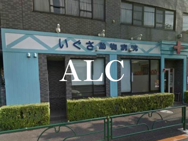 病院　いぐさ動物病院（病院）まで261m