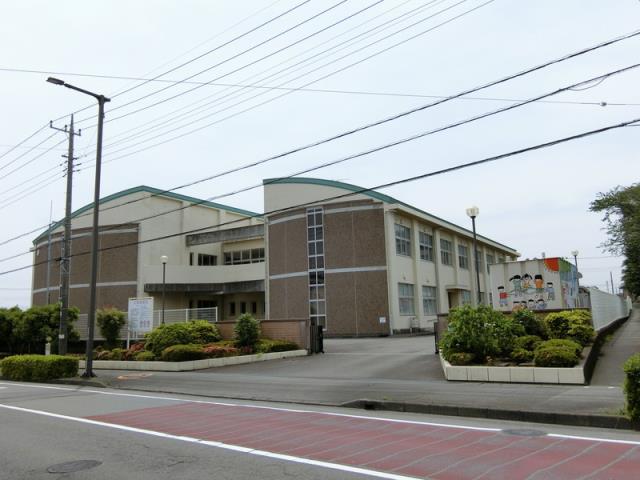 小学校　南小学校（小学校）まで568m
