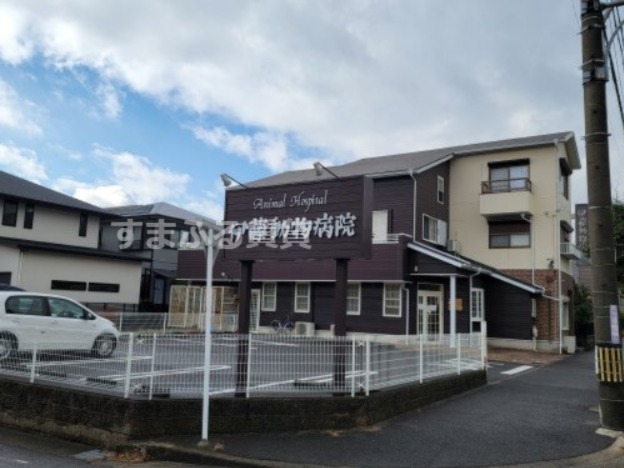 病院　伊藤動物病院（病院）まで1111m