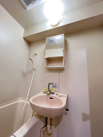 洗面設備　画像は別号室。ご参考にどうぞ