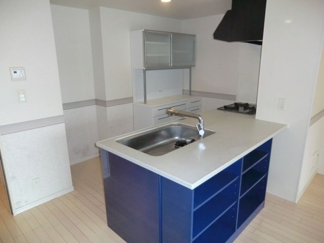 キッチン　３口グリル付キッチン、ディスポーザー完備