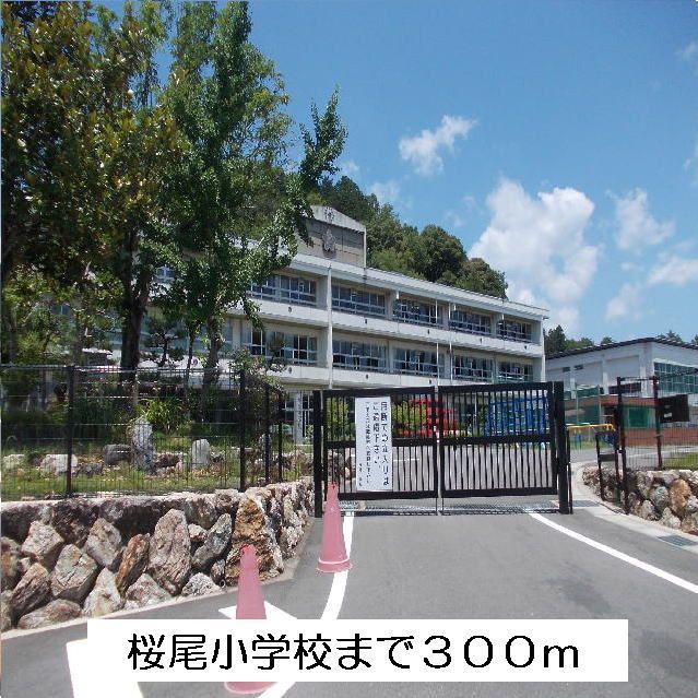 小学校　桜尾小学校（小学校）まで300m