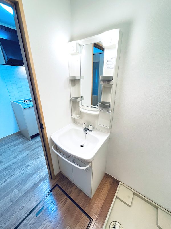 洗面設備　※同タイプの別部屋参考写真となります