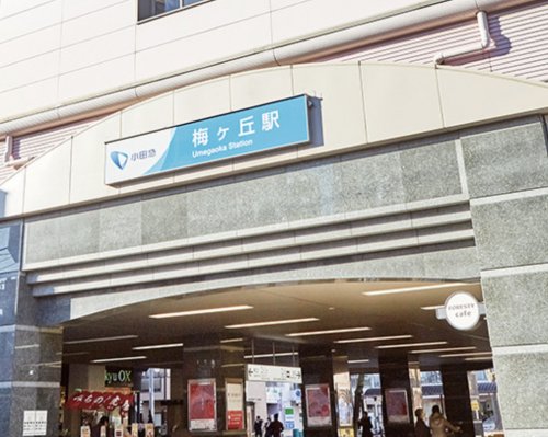 その他　梅ヶ丘駅（その他）まで345m