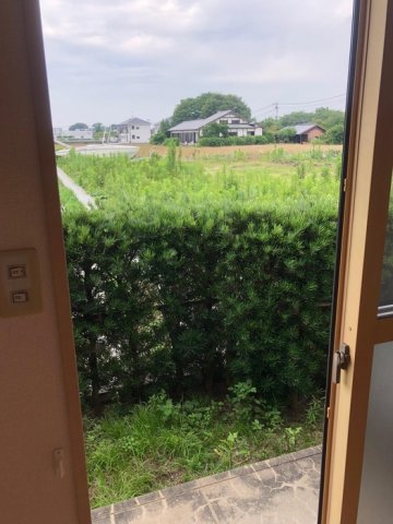 庭　たまにはお庭で休日を過ごしてみるのもよいかもしれません