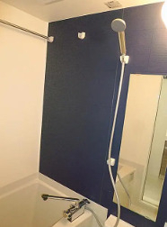 バス・シャワールーム　別部屋参考画像