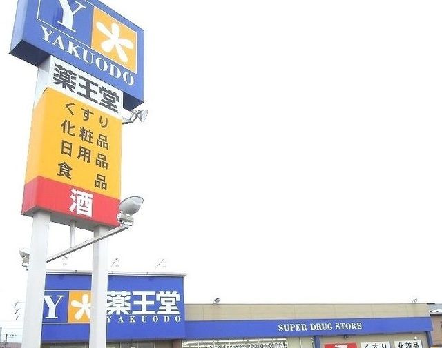 ドラックストア　薬王堂五戸店（ドラッグストア）まで1100m