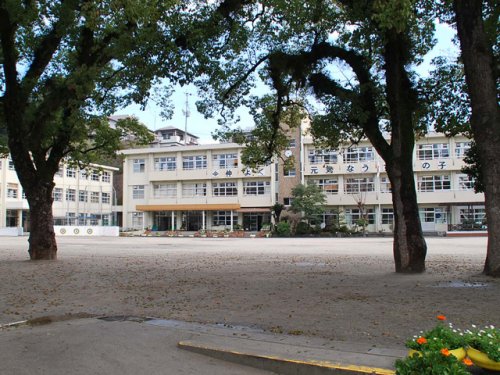 小学校　宇宿小学校（小学校）まで719m