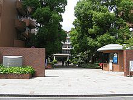 大学・短大　常盤大学・常盤短期大学（大学・短大）まで500m