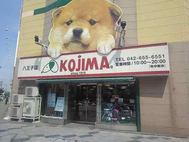 その他　ペットのKOJIMA（その他）まで400m