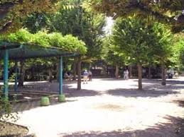 公園　沼袋公園（公園）まで185m