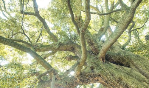 公園　すずかけ児童遊園（公園）まで1068m