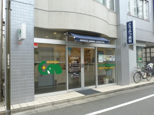 病院　もりぞう動物病院（病院）まで126m