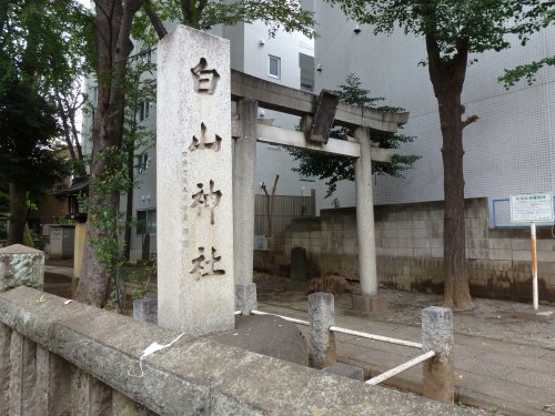 その他　荻窪白山神社（その他）まで323m