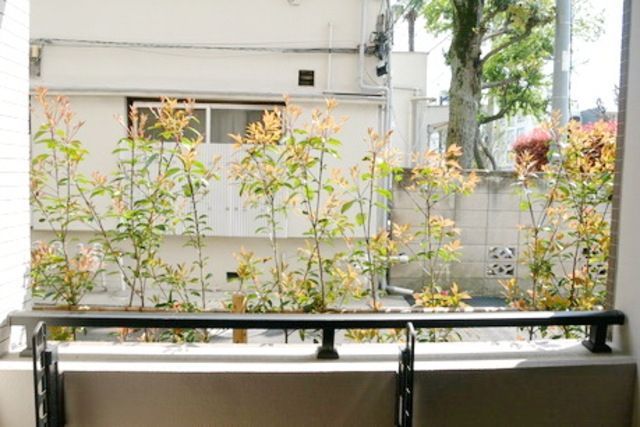 眺望　★景色★