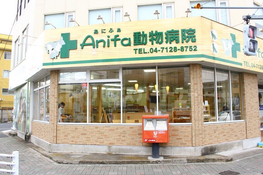 病院　アニファ動物病院（病院）まで180m
