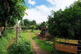 公園　駒沢はらっぱプレーパーク（公園）まで601m