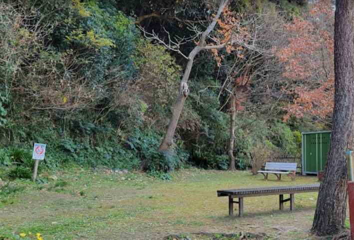 公園　南ヶ丘東公園（公園）まで3102m