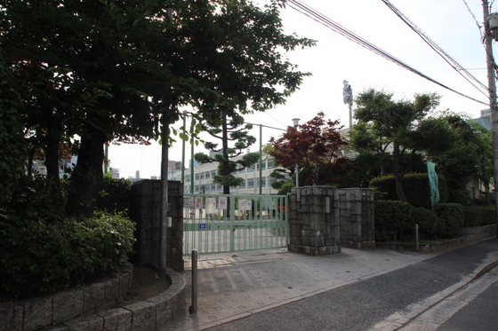 小学校　広島市立段原小学校（小学校）まで113m