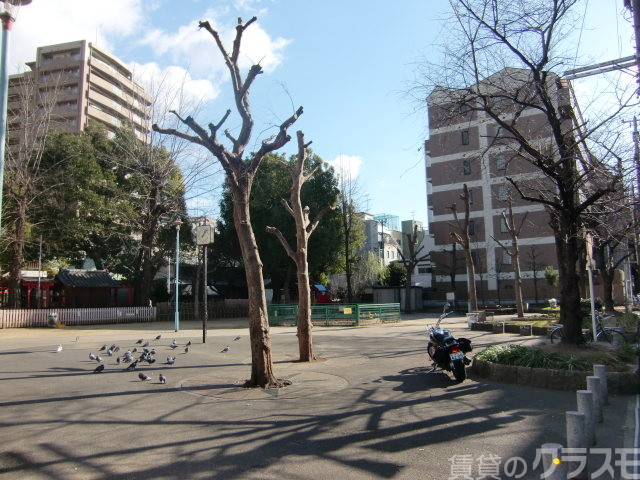 公園　十三東公園（公園）まで30m