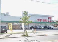 ドラックストア　スギ薬局 名南店（ドラッグストア）まで231m