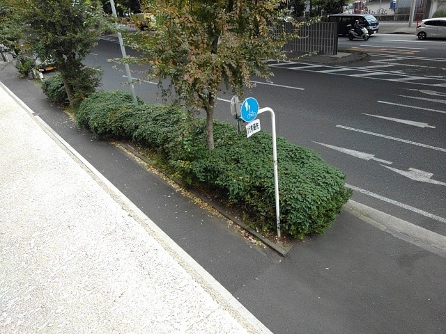 眺望