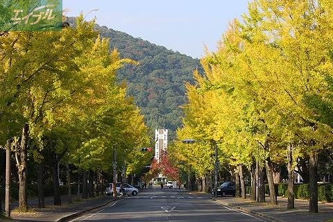 大学・短大　岡山大学 津島キャンパス（大学・短大）まで1814m
