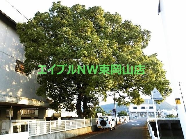 小学校　岡山市立雄神小学校（小学校）まで1013m