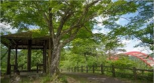 公園　瑞光寺公園（公園）まで264m