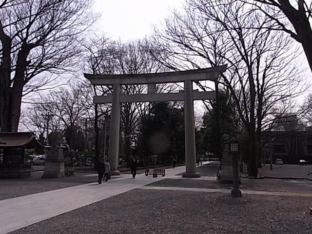 その他　大国魂神社（その他）まで700m