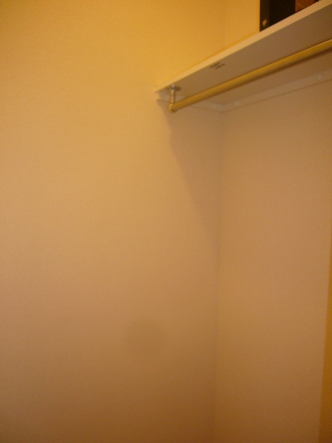 収納　他のお部屋の参考写真となります。