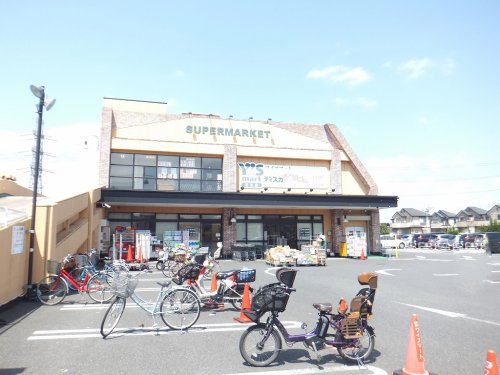スーパー　Ys mart Discover(ワイズマートディスカ) 夏（スーパー）まで430m