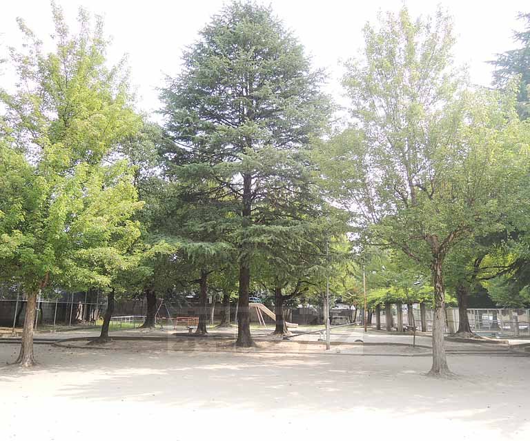 公園　西政所児童公園（公園）まで120m