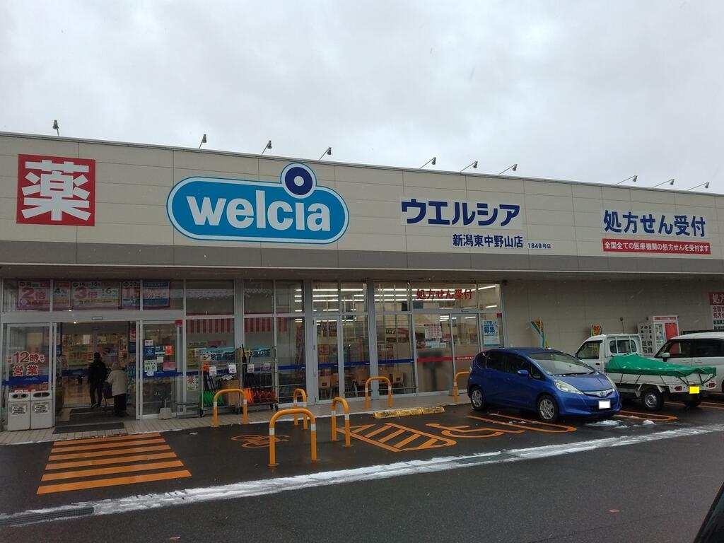 ドラックストア　ウエルシア新潟東中野山店（ドラッグストア）まで247m