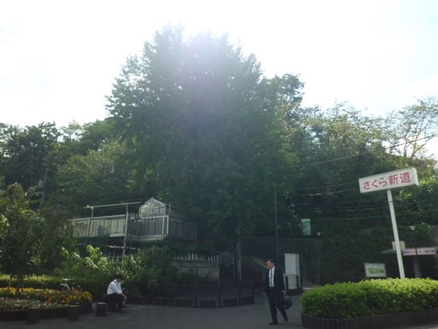 公園　飛鳥山公園（公園）まで900m