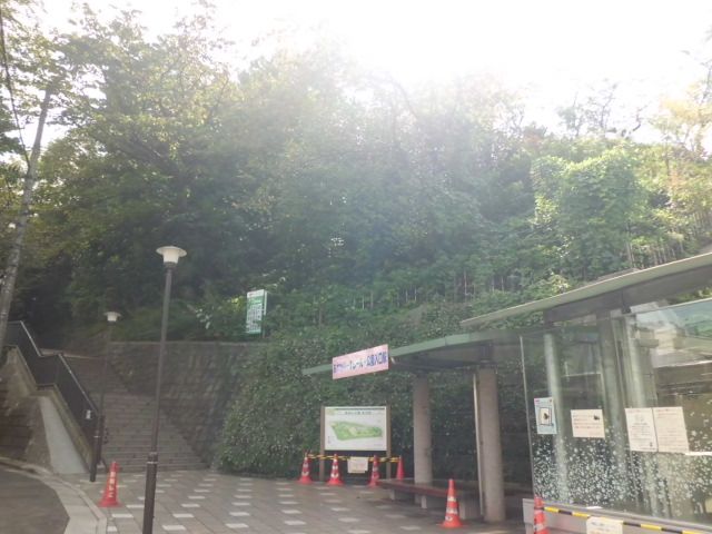 公園　飛鳥山公園（公園）まで900m