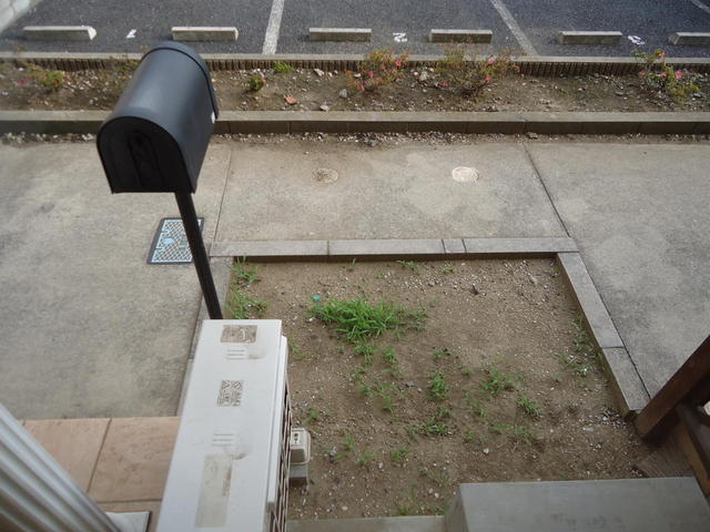 庭