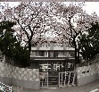 高校・高専　東京都立広尾高等学校（高校・高専）まで811m