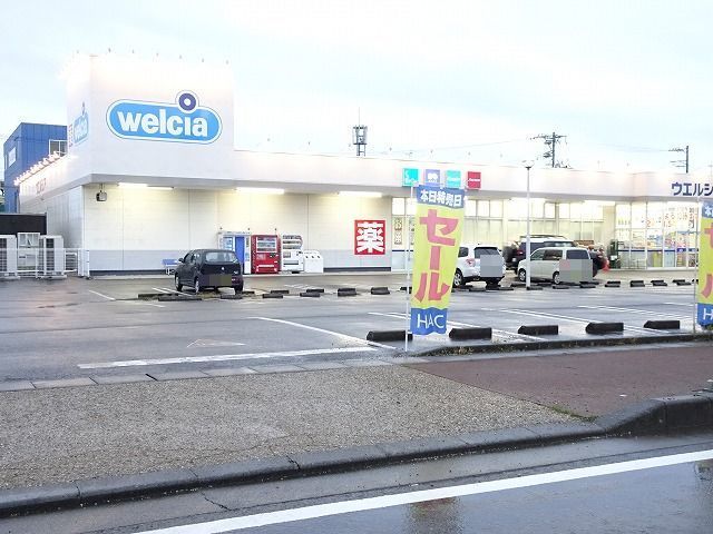 ドラックストア　ウエルシア（ドラッグストア）まで800m